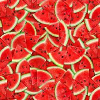 ttFRUIT-CD3910 WATERMELON
